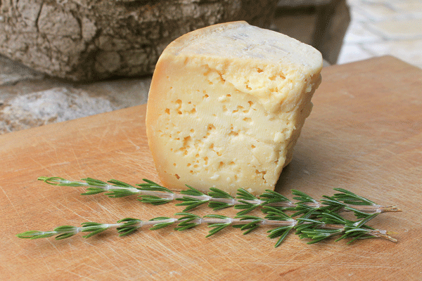 Altrimenti detto formaggio con i vermi