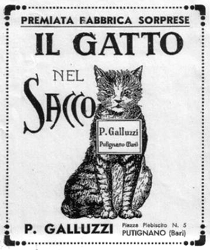 gatto nel sacco